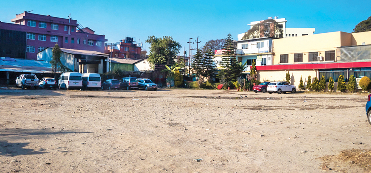 सांसदको कब्जामा स्काउटको जग्गा ! Nagarik News